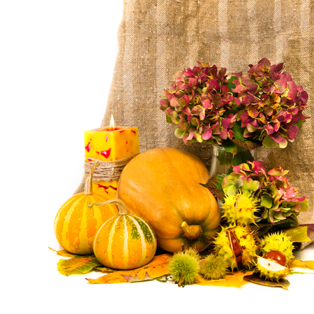 Harvested pumpkins with fall leaves, flowers and candle, chestnut, over white の写真素材