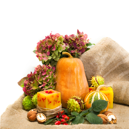 Harvested pumpkins with fall leaves, flowers and nuts,wild rose, over white の写真素材