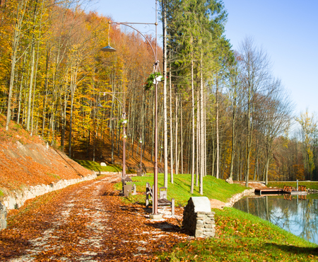 Colorful autumn landscape in the park with a lakeの写真素材