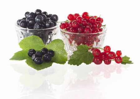 Ripe berries. Black and red currants on a white background.の写真素材