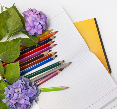  Flowers hydrangeas and school subjects. Teacher Day.の写真素材