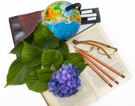 School subjects and  hydrangea flower  . Place for your text. Day of the teacher.の写真素材