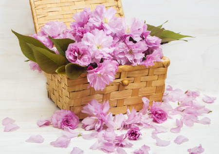  Sakura flowers in a basket  on a wooden background Motherの写真素材