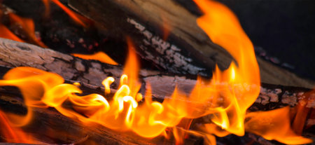 Closeup of wood burning on colorful fire.