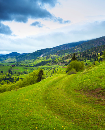 Summer landscape. meadow path on the hillside. forest in fog on the mountain.の写真素材