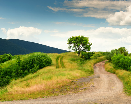 Field road in the mountains summer day.の写真素材