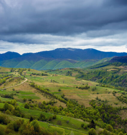 Forest and meadow in the mountains. Mountain landscape.の写真素材