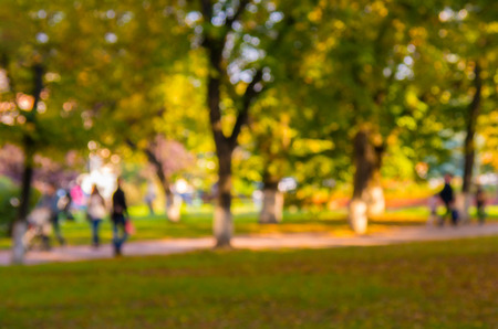 Natural bokeh background in the autumn park. Intentional motion blur.の写真素材