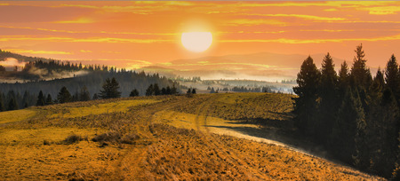 Landscape high mountains with
coniferous forest and meadow at sunset in autumnの写真素材