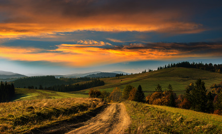 Wide road in the Carpathian Mountains at sunset through coniferous forest.の写真素材
