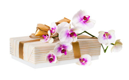 Twig of orchid flower and gift box with gold ribbon over white backgroundの写真素材