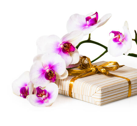 Twig of orchid flower and gift box with gold ribbon over white backgroundの写真素材