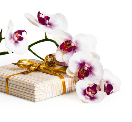 Twig of orchid flower and gift box with gold ribbon over white backgroundの写真素材