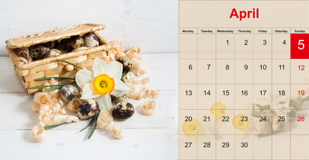 Quail eggs in a basket with daffodil on wooden background.の写真素材