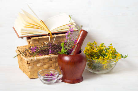 fresh healing herbs and boxes for their storageの写真素材