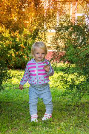 adorable happy baby girl with blond hair walking in the park on a sunny autumn afternoonの写真素材