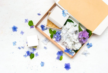 Gift boxes with hydrangea flowers inside  on a white background with place for text