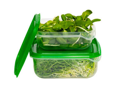 Plastic storage container with organic microgreens inside. Reusable packaging. Vegan and healthy eating concept. Isolated on a white backgroundの写真素材
