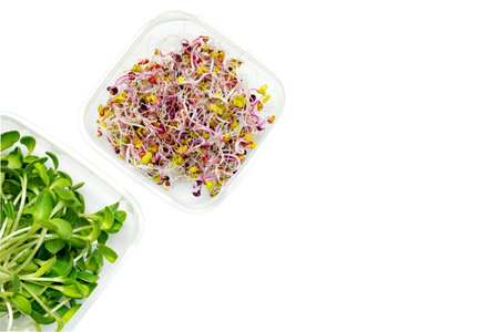 Micro greens sprouts of onion, radish in plastic storage containers on a white background with empty space for text.の写真素材