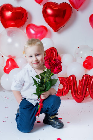 little cute toddler boy standing on one knee with bouquet of roses flowers for Valentine's Day on background of heart shaped balloons.の写真素材