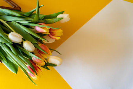 Bouquet of tulips on a yellow and white background with space for text. Gift card.の写真素材