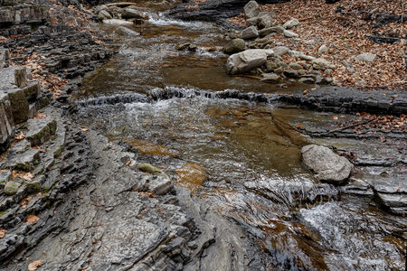 Wild river, stream in a pine forest among rocks. Natural stream in rocky mountains in pine forestの写真素材