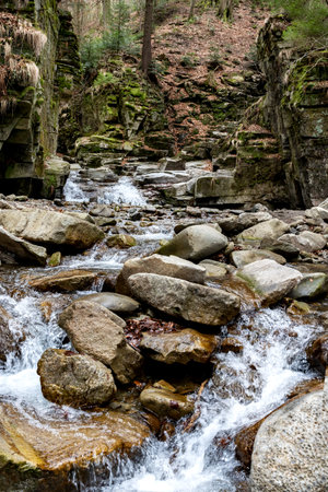 Mountain river with a small waterfall in the forest among the rocks. Natural stream in the mountains. Pristine nature.の写真素材