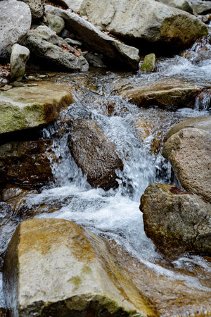 Water flowing through rocks in a stream in the forest. Mountain landscape.の写真素材