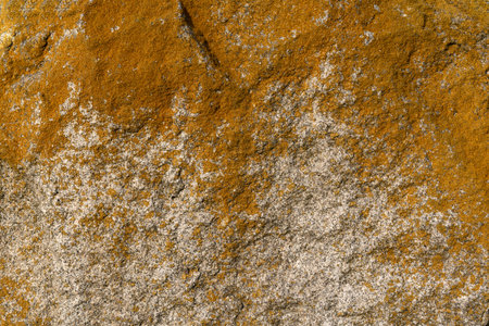 Abstract wall texture background. Part of a stone wall, for background or texture.の写真素材