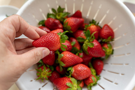 Hand holding fresh ripe strawberries on a blurred background of strawberries in a white colander. Fresh seasonal berries. Food hygiene.の写真素材
