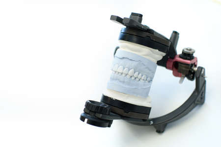 Dental impression isolated on whiteの写真素材