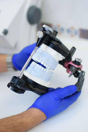 Dentistry doctor holding mock jaw his handの写真素材