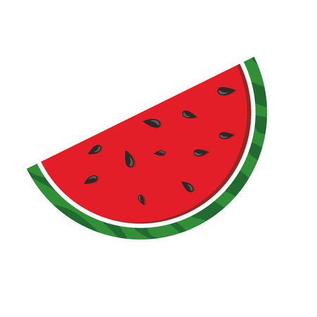 Drawing watermelon on a white backgroundのイラスト素材