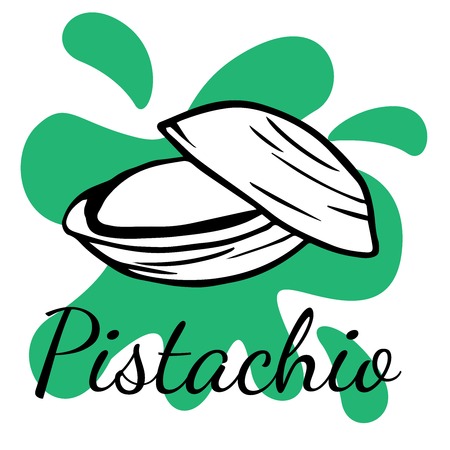 Doodle sketch pistachio on white background, cartoon drawing of nutsのイラスト素材