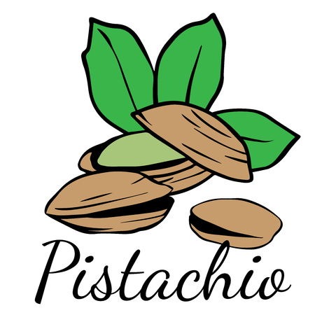 Doodle sketch pistachio on white background, cartoon drawing of nutsのイラスト素材