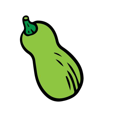 doodle sketch zucchini on a white backgroundのイラスト素材