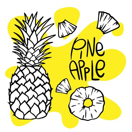 doodle pineapple sketch on white backgroundのイラスト素材