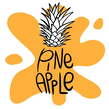 Doodle pineapple sketch with an inscription on a white backgroundのイラスト素材
