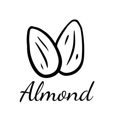 Doodle sketch almond, walnut icon on white backgroundのイラスト素材