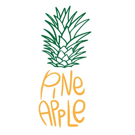Doodle pineapple sketch with an inscriptionのイラスト素材