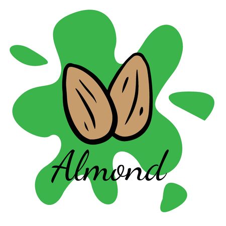 Doodle sketch almond, walnut icon on white backgroundのイラスト素材