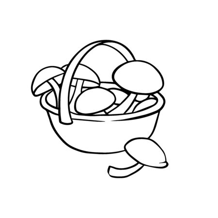 doodle sketch mushrooms in a basket, illustration on white backgroundのイラスト素材