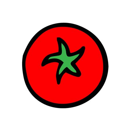 Doodle sketch tomatoes on white backgroundのイラスト素材