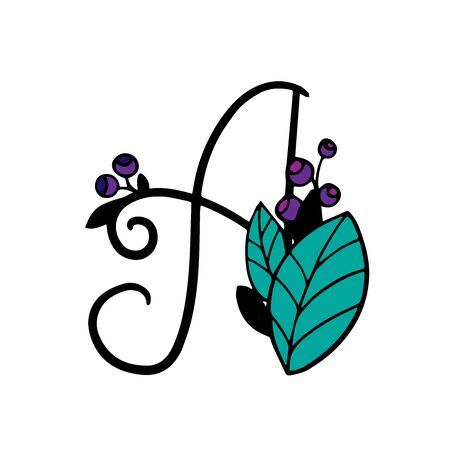 doodle sketch letter with leaves and berries on a white backgroundのイラスト素材