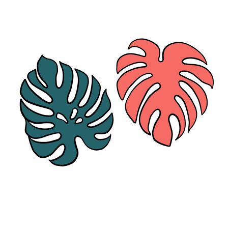 Doodle sketch of monstera leaf, cartoon drawingのイラスト素材