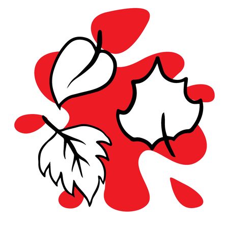 Doodle sketch of three different leavesのイラスト素材