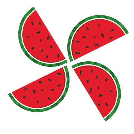 Drawing watermelon on a white backgroundのイラスト素材