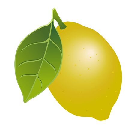 Illustration lemon on a white backgroundのイラスト素材