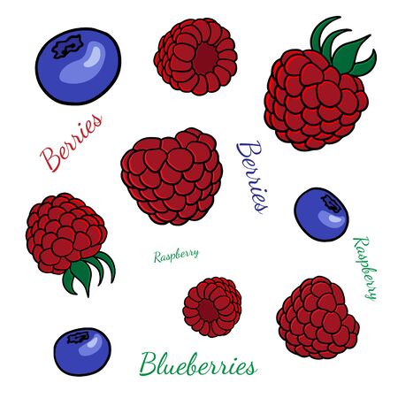 doodle sketch of berries, illustration of raspberries and blueberries on a white backgroundのイラスト素材