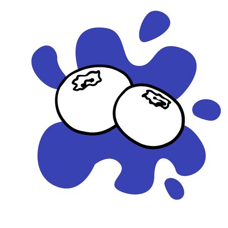 Doodle blueberry sketch, hand drawn illustration of berries on a white background.のイラスト素材